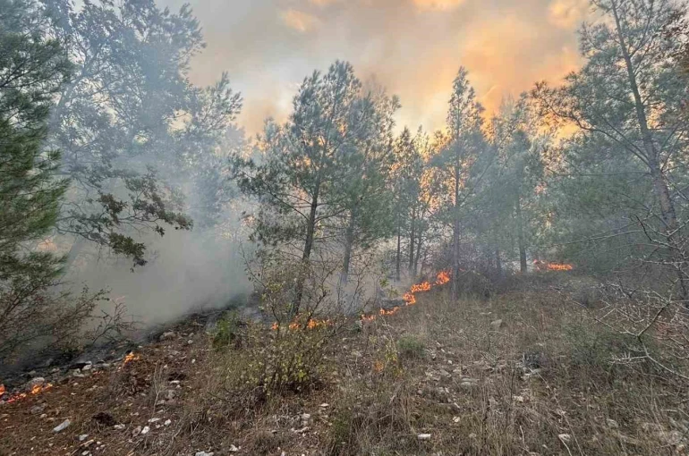 Bozyazı’da orman yangını kontrol altına alındı 