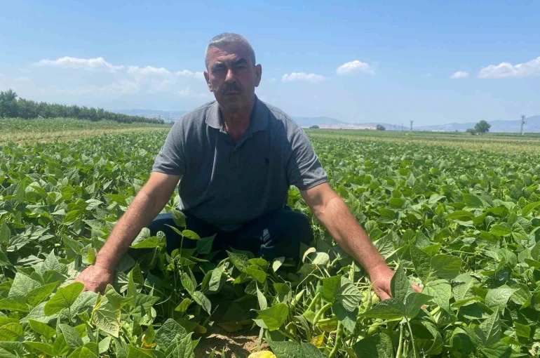 Bu köyde çiftçi sadece tarlasını hazırlıyor, gerisini kooperatif yapıyor