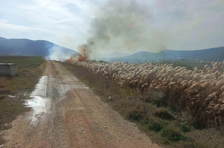 Bucak’ta sazlık alanda yangın 