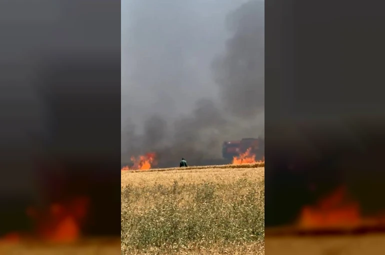 Buğday tarlaları alevlere teslim oldu 