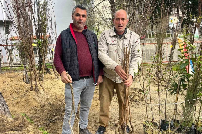 Buldan’ın bereketli toprakları fidanlarla canlanıyor 