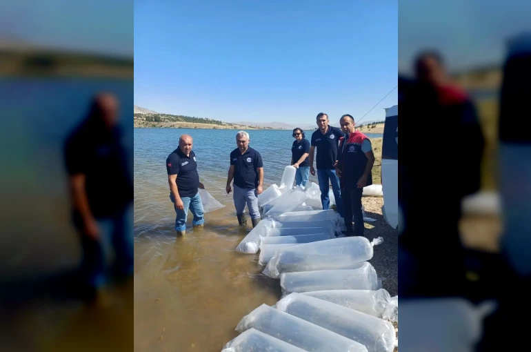 Burdur’da göl ve göletler yavru sazanlarla buluştu