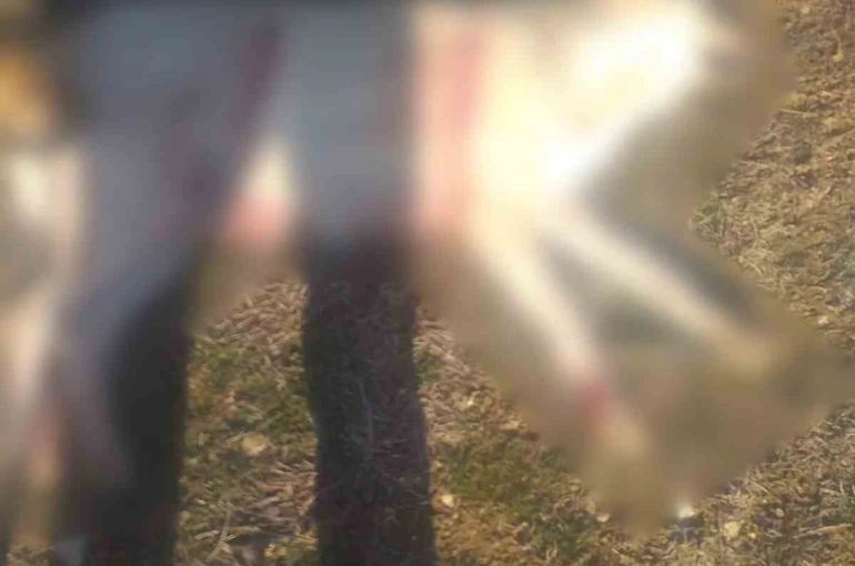 Burdur’da köpeklerin silahla öldürüldüğü iddialarına valilikten açıklama 