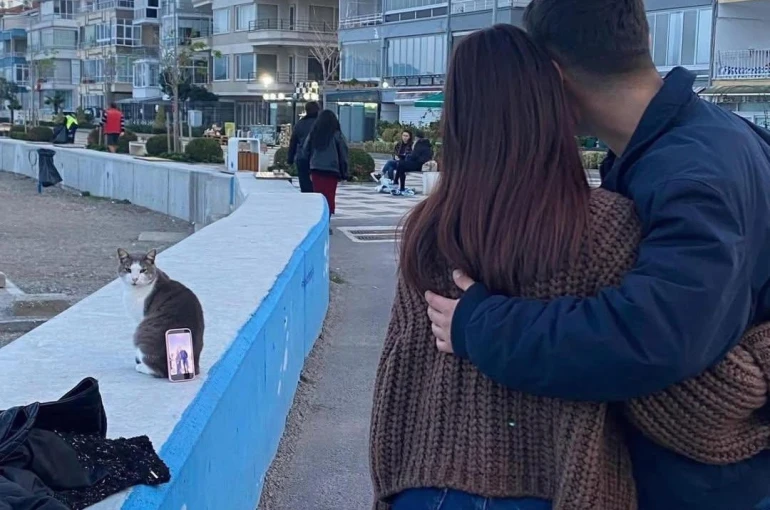 Bursa sahilinde ilginç fotoğraf çözümü: Tripod yerine kedi kullandılar