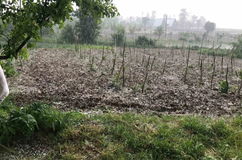Bursa’da dolu… Keles’te tarım arazilerini dolu vurdu