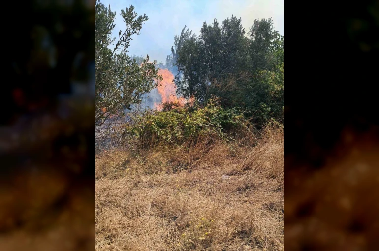 Bursa’da iki ayrı ot yangını kontrol altına alındı