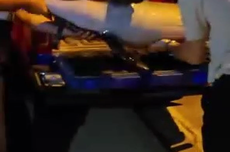 Bursa’da ölü yunus balığı kıyıya vurdu