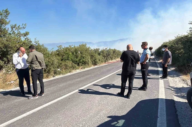 Bursa’da ormanlık alanda yangın çıktı