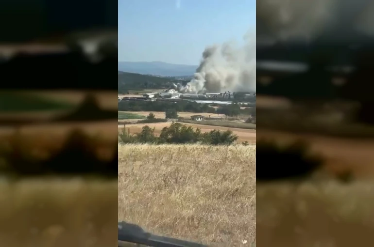 Bursa’da tavuk çiftliğinde yangın
