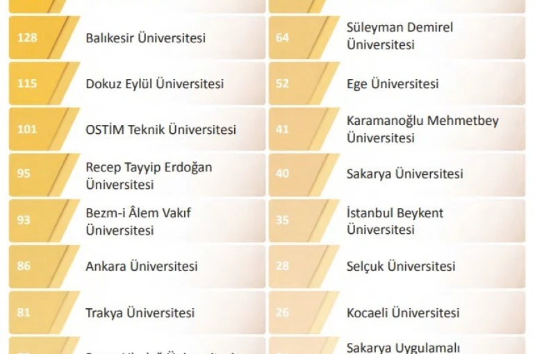 BUÜ, YÖK 2025 Genel Raporunda farkını ortaya koydu 