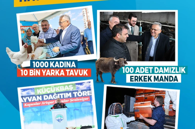 Büyükşehir ile Kayseri, hayvancılıkta yükselişte 