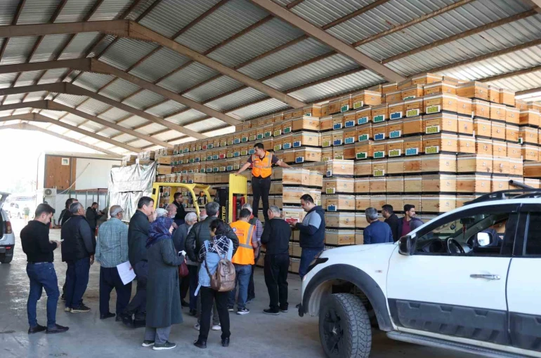 Büyükşehirden üreticiye arı kovanı desteği 