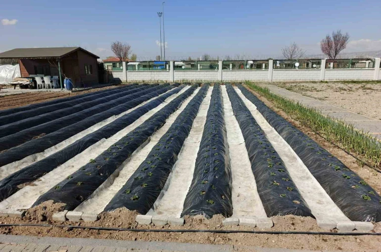 Büyükşehirin Doğal Ürünler Bahçesi ve Pazarı’nda yeni sezon hazırlığı 