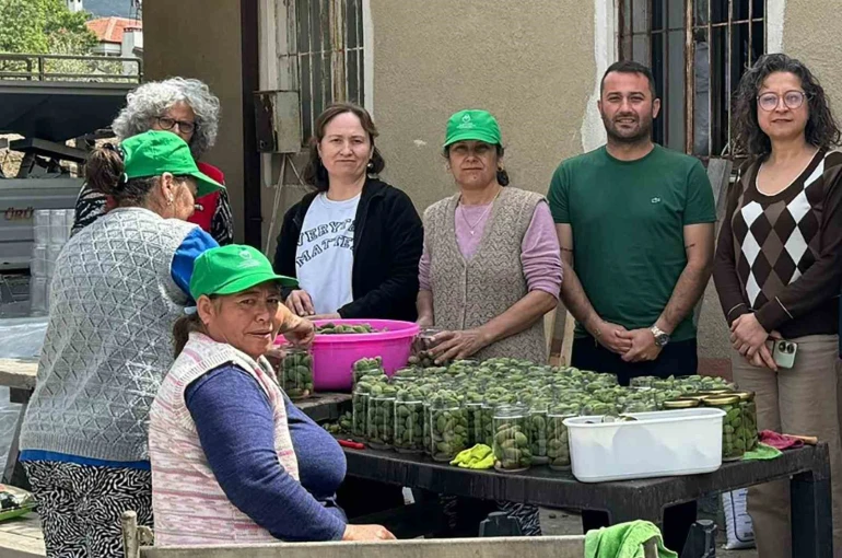 Çağla turşusundan kadın üreticilere ekonomik katkı 