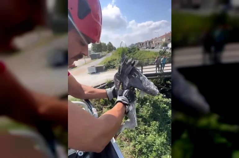 Çalıların arasına sıkışan balıkçıl kuşun imdadına itfaiye yetişti