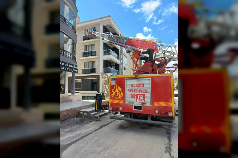 Cam arasına sıkışan güvercin kurtarıldı 