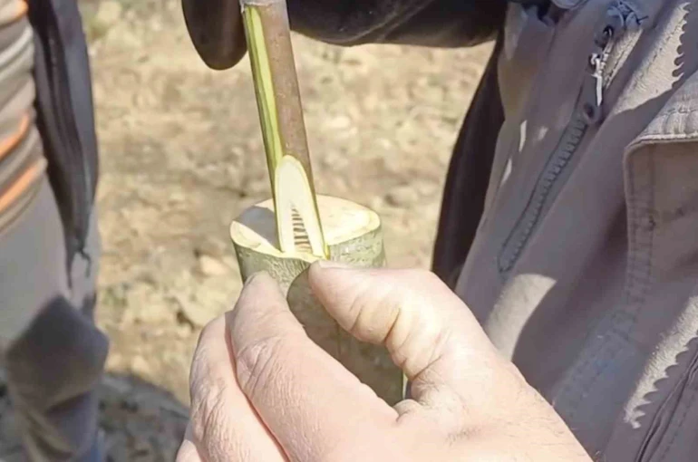 Çanakkale’de ‘Aşı Akademisi’ 