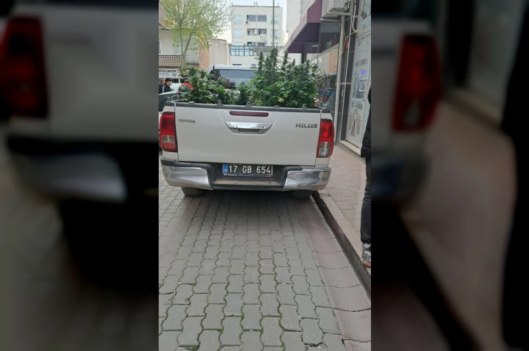 Çanakkale’de evinde kenevir yetiştiren şahıs gözaltına alındı 