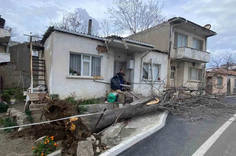 Çanakkale’de lodos fırtınasında devrilen ağaç evin çatısına zarar verdi 