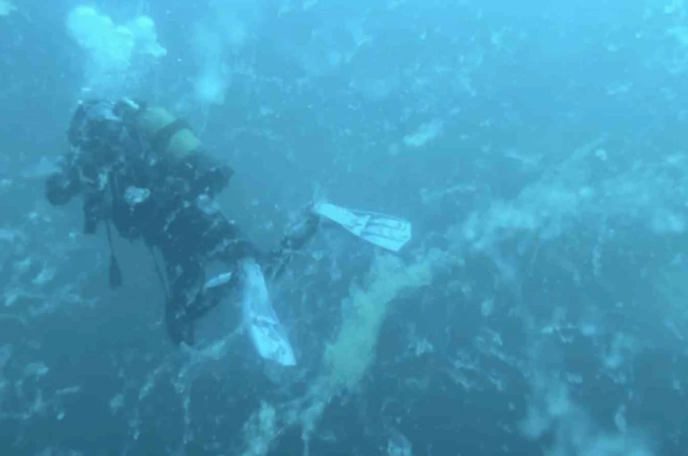 Çanakkale’de müsilaj alarmı