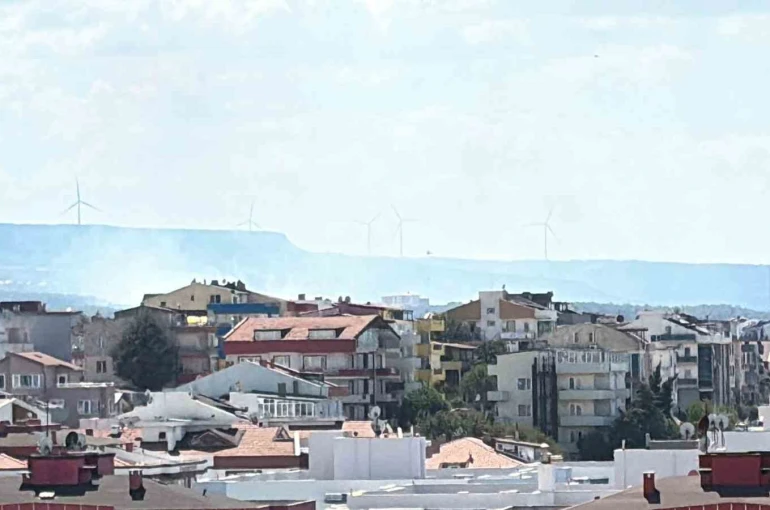 Çanakkale’de orman yangını: 2 okul tahliye edildi