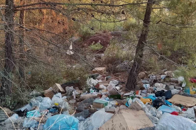 Çanakkale’de ormanlık alanlar çöpten geçilmiyor 