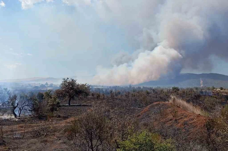 Çanakkale’de tarım arazisinde başlayan yangın ormanlık alana sıçradı