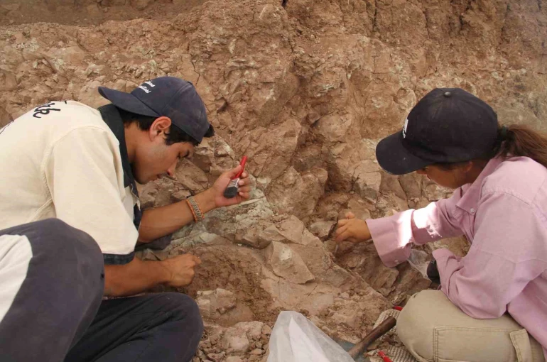 Çankırı’daki kazılarla 9 milyon yıl öncesine ait fosiller gün yüzüne çıkartılıyor 