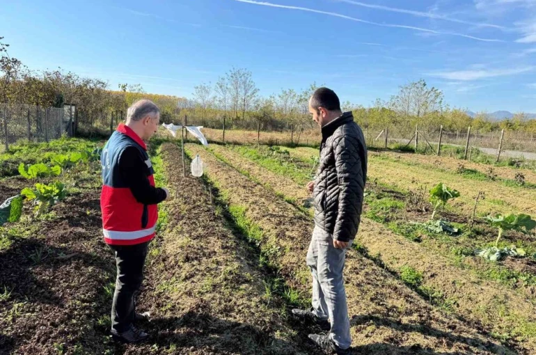 Çarşamba Ovası’nın yeni gözdesi: Salep 