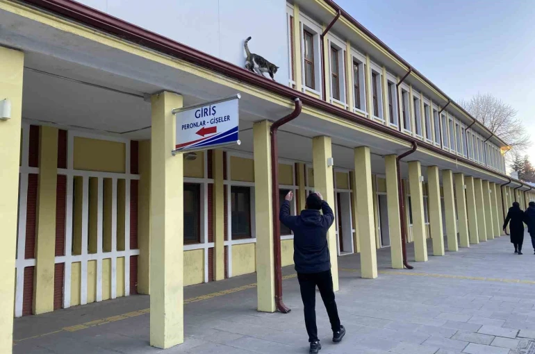 Çatıda mahsur kalmış gibi bağırıp gençlerle oynayan kedi yine aynısını yaptı 