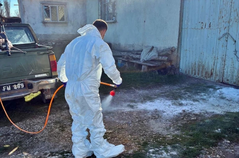 Çavdarhisar’da hayvan işletmelerinde salgın hastalıklara karşı dezenfeksiyon 