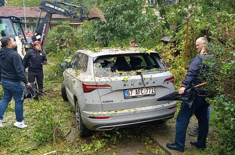 Çaycuma’da park halindeki otomobilin üzerine ağaç devrildi