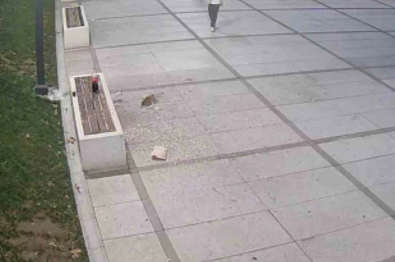 Çekirdek keyfi pahalıya patladı