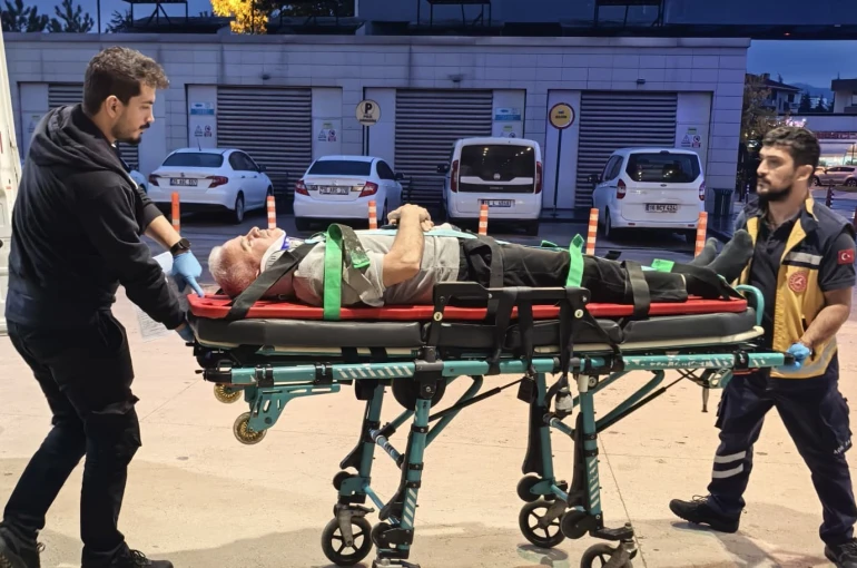 Ceviz ağacından düşen adam ağır yaralandı