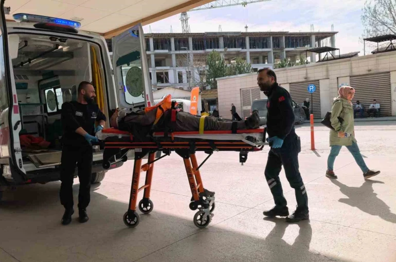 Ceviz ağacından düşen yaşlı adam ağır yaralandı