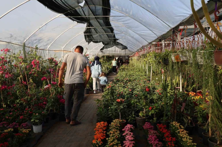 Çiçekçilerde Öğretmenler Günü yoğunluğu: Buket yerine saksı çiçekleri tercih ediliyor 