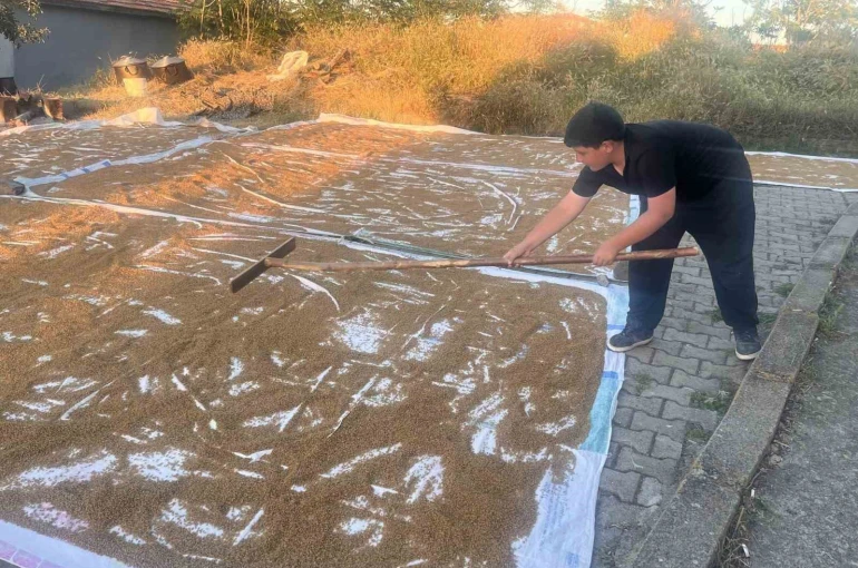 Çiçekdağı ilçesinde geleneksel bulgur yapımı başladı 