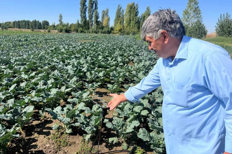 Çiftçilerin kullandığı kuyu suları 2 metreye kadar indi 