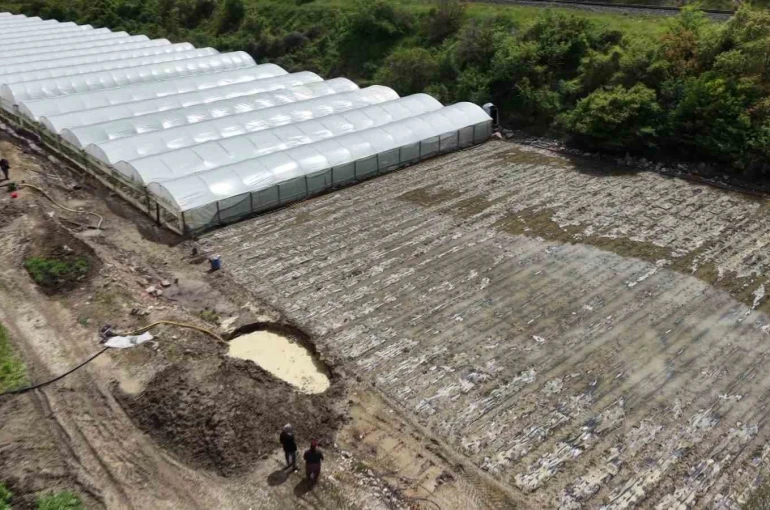 Çiftçinin taşkın nöbeti: Arazisindeki bitkiler Yeşilırmak’tan sızan suyun altında kaldı 