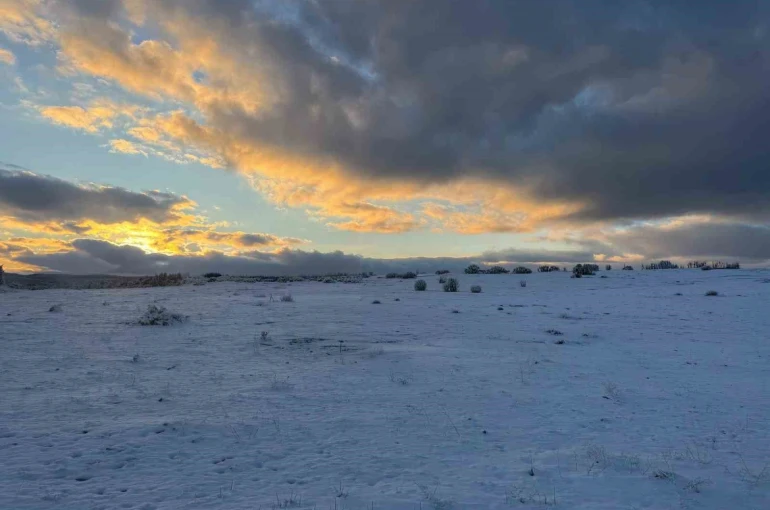 Çimsa, şehitlik için 80 yıllık rezervden feragat ediyor 