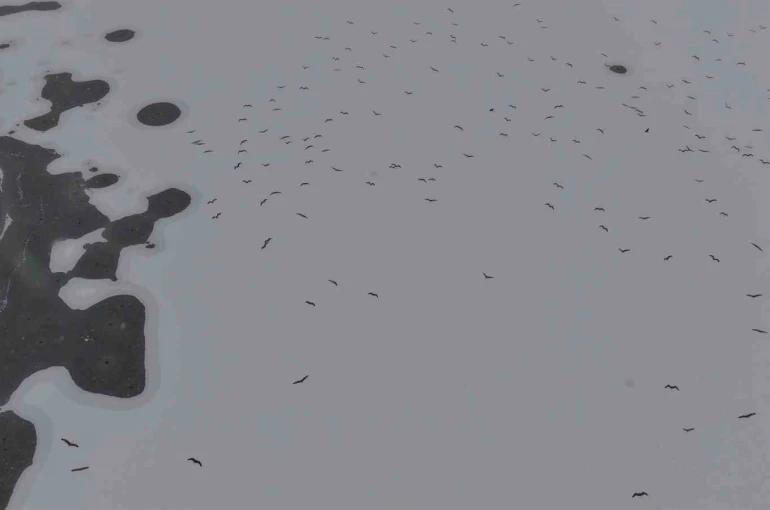 Cip Baraj Gölü buz tuttu 