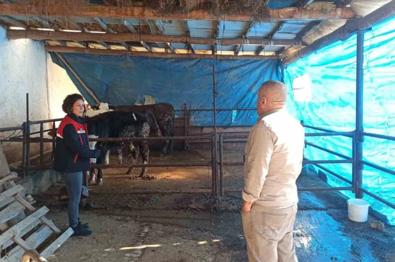 ÇMVA çalışmaları devam ediyor 