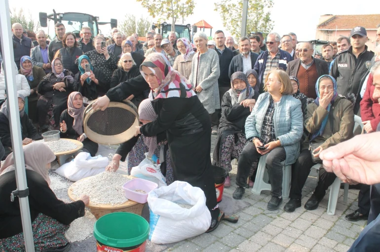 Coğrafi işaretli Kazak fasulyesinde ilk hasat festivali yapıldı 