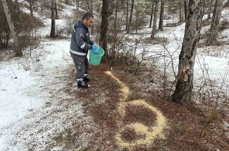 Çorum Belediyesi yaban hayvanlarını unutmadı 
