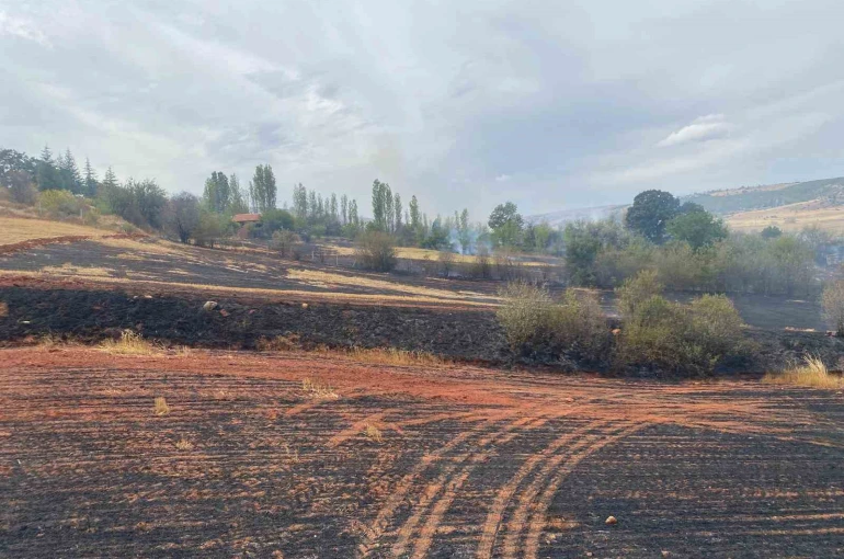 Çorum’da arazi yangını: 50 dönüm tarla ve 15 dönüm ağaçlık alan zarar gördü
