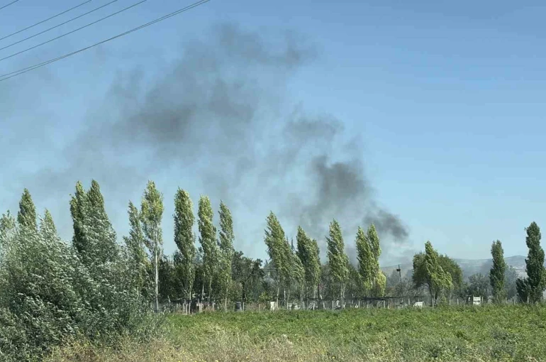 Çorum’da otluk alanda çıkan yangında 1 köpek yaralandı