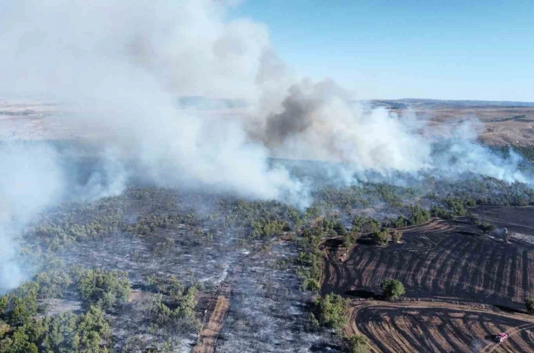 Çorum’daki yangında 70 bin dönümden fazla alan zarar gördü