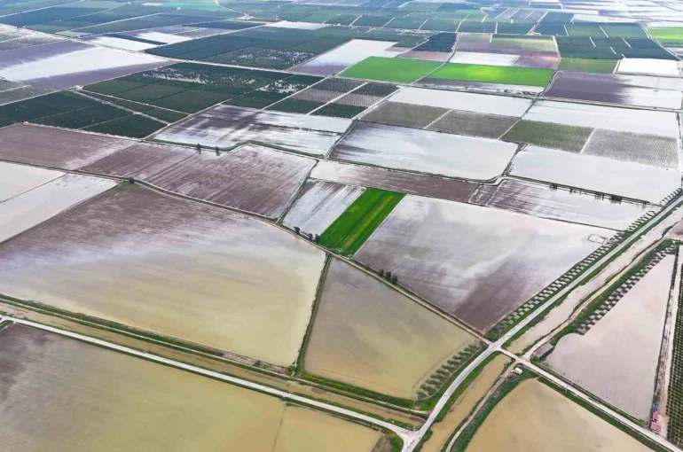 Çukurova’yı yağmur vurdu: Tarım arazileri sular altında 