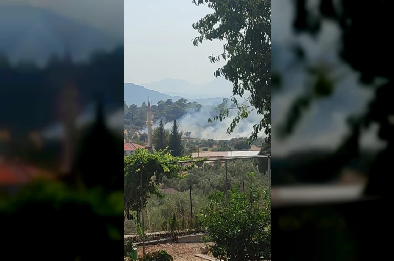 Dalaman’da orman yangını ekiplerin hızlı müdahalesi ile kontrol altına alındı