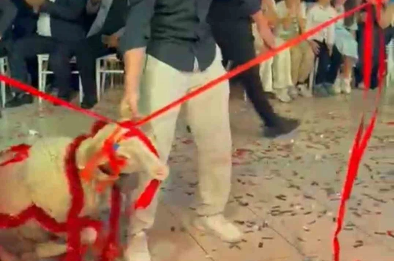 Damada verilen hediyeye herkes şaştı kaldı